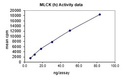 Eurofins DiscoverX MLCK Protein, Active 10 &mu;g | Buy Online | Eurofins DiscoverX | Fisher Scientific